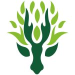 Lotactree Blog